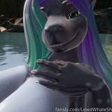 LewdWhaleShark leaked from fansly