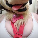 SpenceAfterBark leaked from fansly