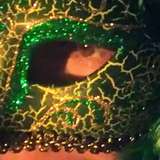 absintheanglas leaked from onlyfans