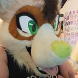 ashyracwolf leaked from onlyfans