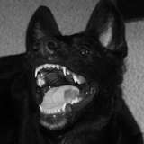axe_pup leaked from onlyfans