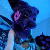 bajabark leaks from onlyfans