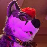 dalitefur leaked from onlyfans