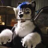 gravitystormhusky leaked from onlyfans