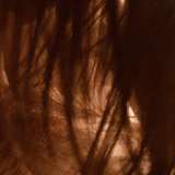 hiddenbrooke leaked from onlyfans