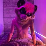 moremaitai leaked from onlyfans