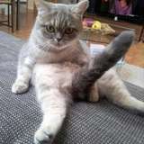 murmurus leaked from onlyfans