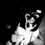 nina.bellerose86 leaked from onlyfans