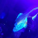 princessdarkness666free leaked from onlyfans