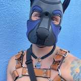 pupchord leaked from onlyfans