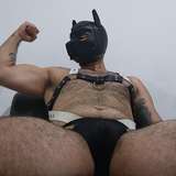 pupbearboss leaked from onlyfans
