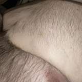 superchubuk leaks from onlyfans