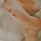 sweetfeetbubble leaked from onlyfans