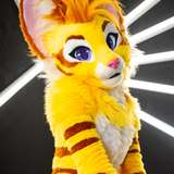 thatyellowkitty leaked from onlyfans