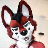 wolf_ezo leaked from onlyfans