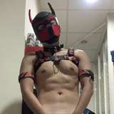 xundog leaked from onlyfans