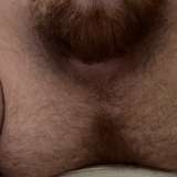 theunderwearbear leaked from onlyfans