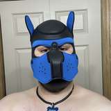 pup_chomper leaked from onlyfans