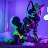 squeakytester leaked from onlyfans