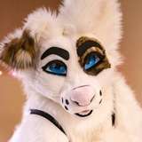 saoirsemutt leaked from onlyfans