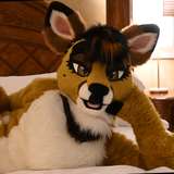 lotuslafawn leaked from onlyfans