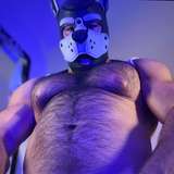 musclepupchamp leaked from onlyfans