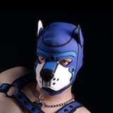 pupwilde leaked from onlyfans