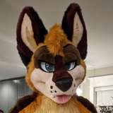 levisheppy leaked from onlyfans