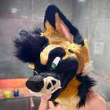palacewolf leaked from onlyfans
