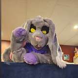 oliverthewabbit leaked from onlyfans