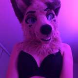 angel_pups leaked from onlyfans