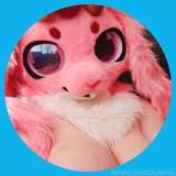 Chuwuvy leaked from fansly