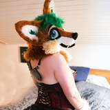 furry_foxxy leaked from onlyfans
