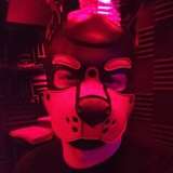 pupsheen leaked from onlyfans