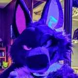 purplehuskymurr leaked from onlyfans