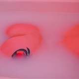 peepeach leaked from onlyfans