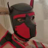 bj_horns leaked from onlyfans