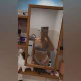 mistresssunnie leaked from onlyfans