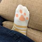 kittycatstompers leaked from onlyfans