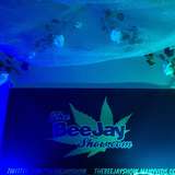 thebeejayshowfree leaked from onlyfans
