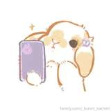 _bunni_sammi leaked from fansly
