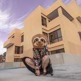 sinfulslothslut leaked from onlyfans