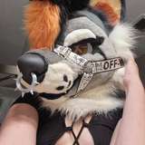 hellhoundxo leaked from onlyfans