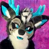 onlydeer leaked from onlyfans