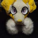 puppyhighbeams leaked from fansly