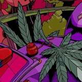 stonergal123 leaked from onlyfans
