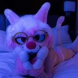 opalshuppyad leaked from onlyfans