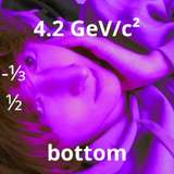 bottomquark leaked from onlyfans