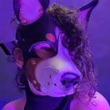 spicyxpup leaked from onlyfans