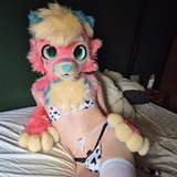 bloomydoggo leaked from onlyfans
